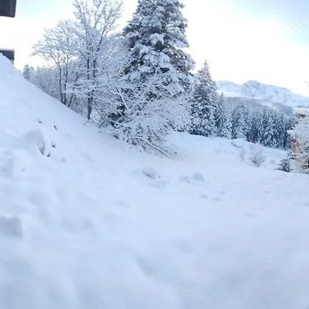 Cosy Les Meleze E * Chamrousse