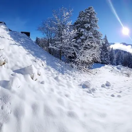 Cosy Les Meleze E * Chamrousse