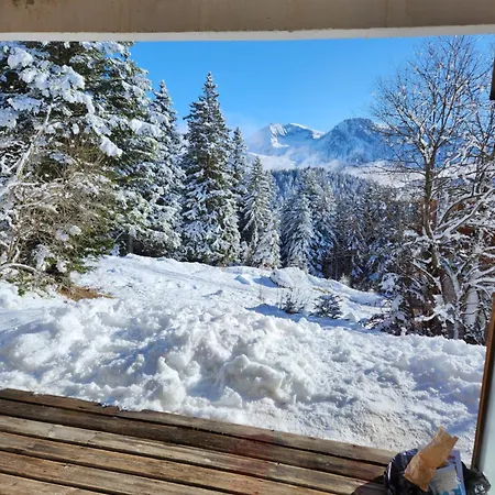 Cosy Les Meleze E * Chamrousse