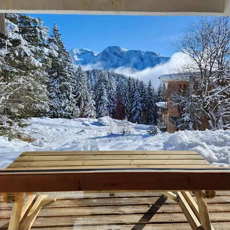 Apartment Cosy Les Meleze E Chamrousse