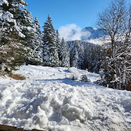 Apartment Cosy Les Meleze E Chamrousse